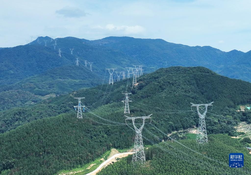 2025开户送白菜